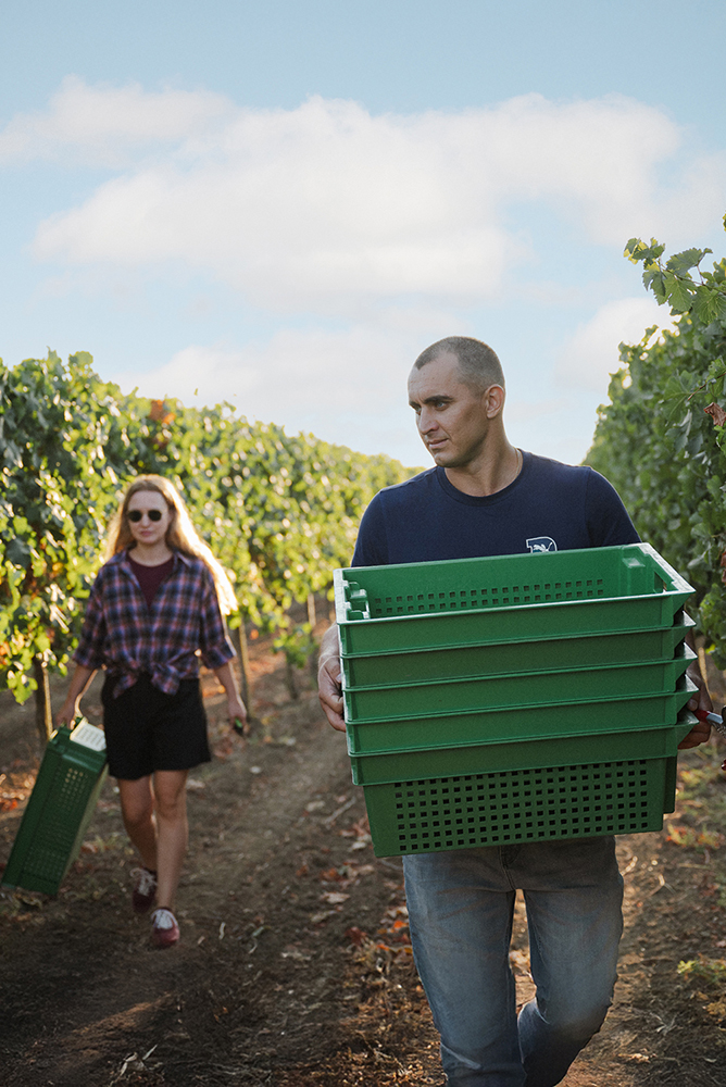 Винодельня Узунов. Кубань, Тамань.