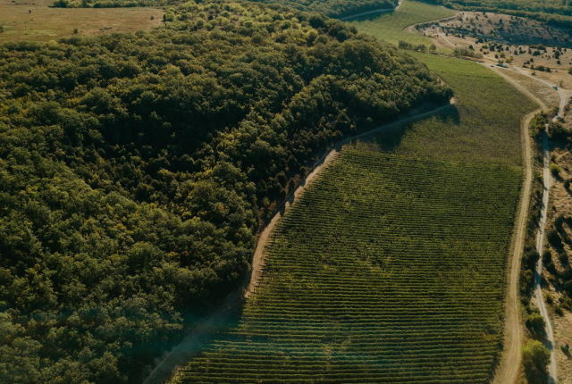 Uppa Winery. Крым, Севастополь.