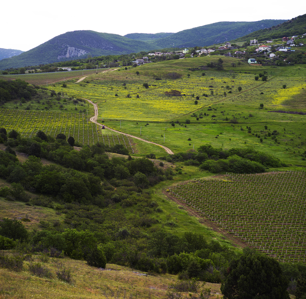 Loco Cimbali Winery. Крым, Севастополь.