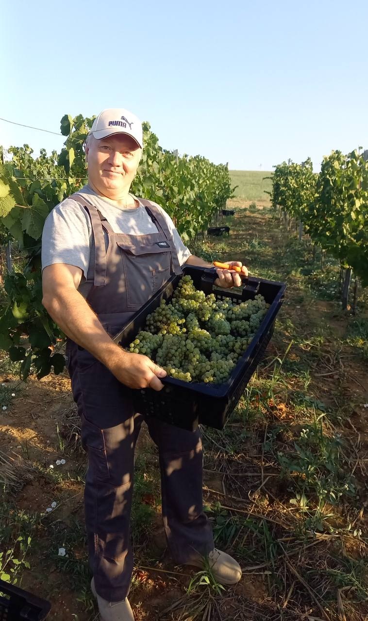 Vino & Nebo. Крым, Севастополь.