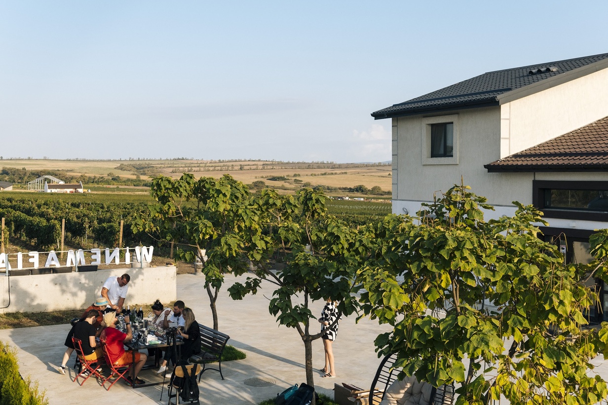 WineMafia. Кубань, Анапа.