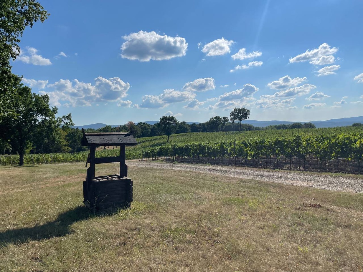 Gunko Winery. Кубань, Крымск.