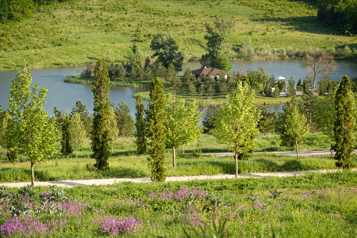 Николаев и сыновья. Кубань, Крымск.