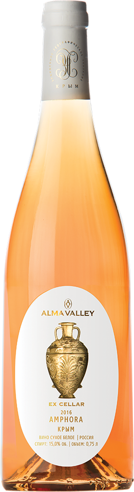 Amphora. Ex Cellar