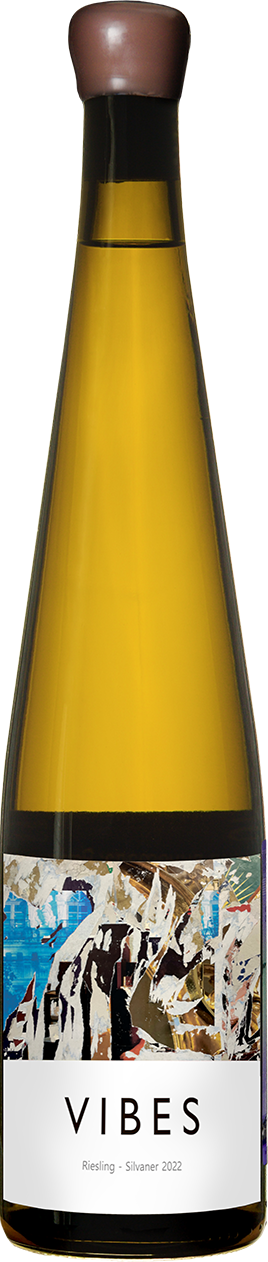 Riesling – Silvaner
