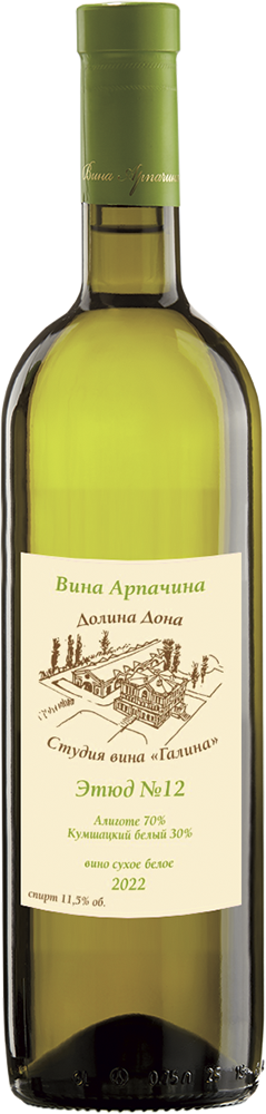 Вина Арпачина. Этюд №12