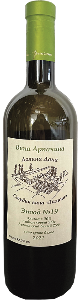 Вина Арпачина. Этюд №19