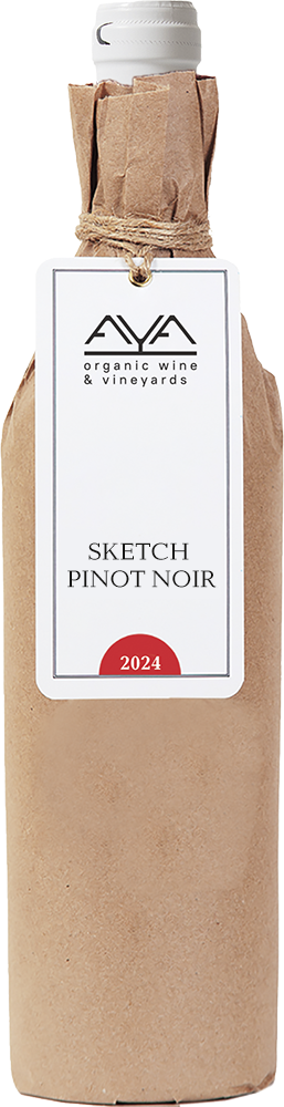 Sketch Pinot Noir
