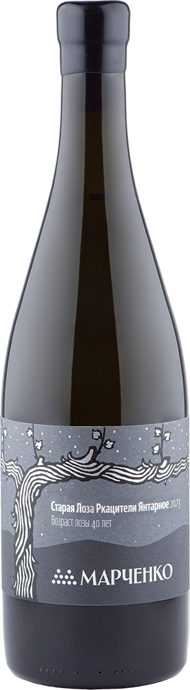 Старая лоза. Ркацители Янтарное