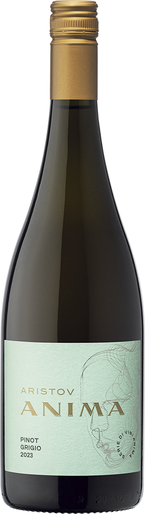 Anima Aristov. Пино Гриджио